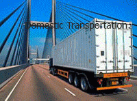 Extensive Services : Air Freight : Sea Feright : Domestic Transportation